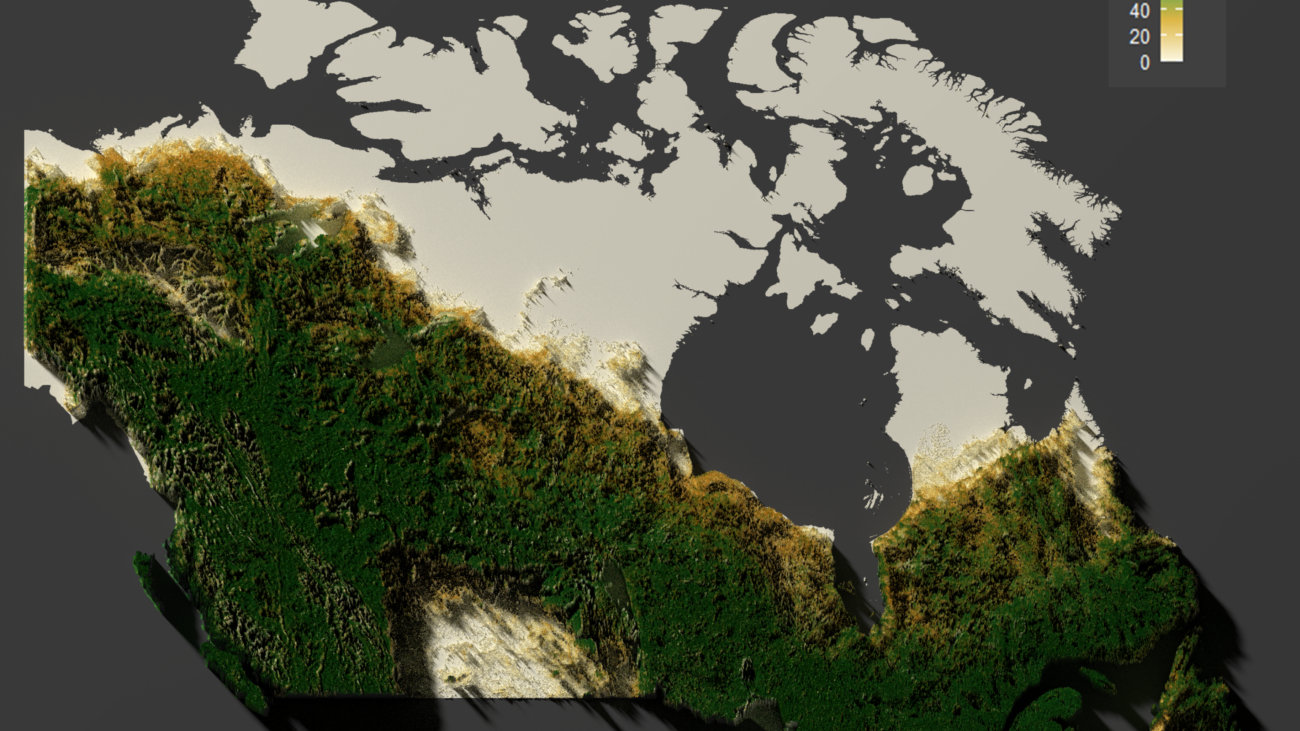 CanadaForest2