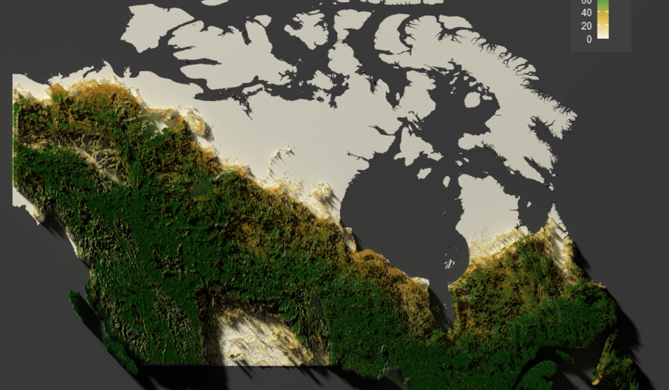 CanadaForest2